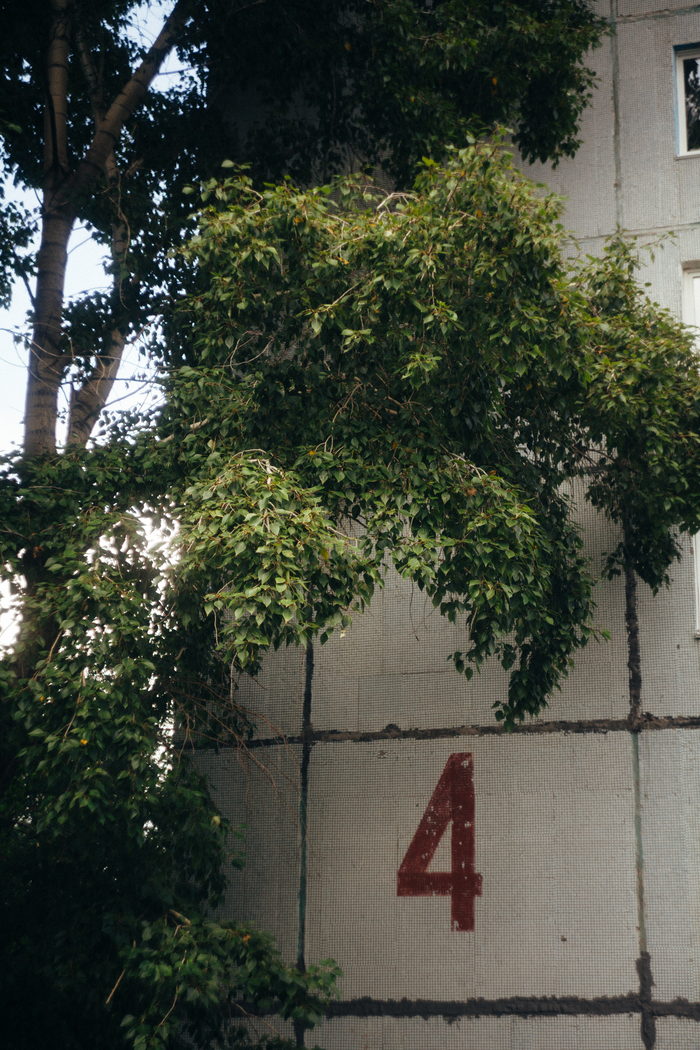 Почему-то часто фотографирую цифру 4
