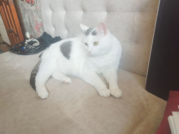   , 1.5 ,  ,     ,     3         :)