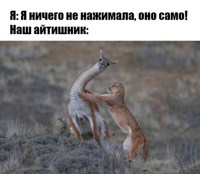     , ,  , , , ,  ,   , 