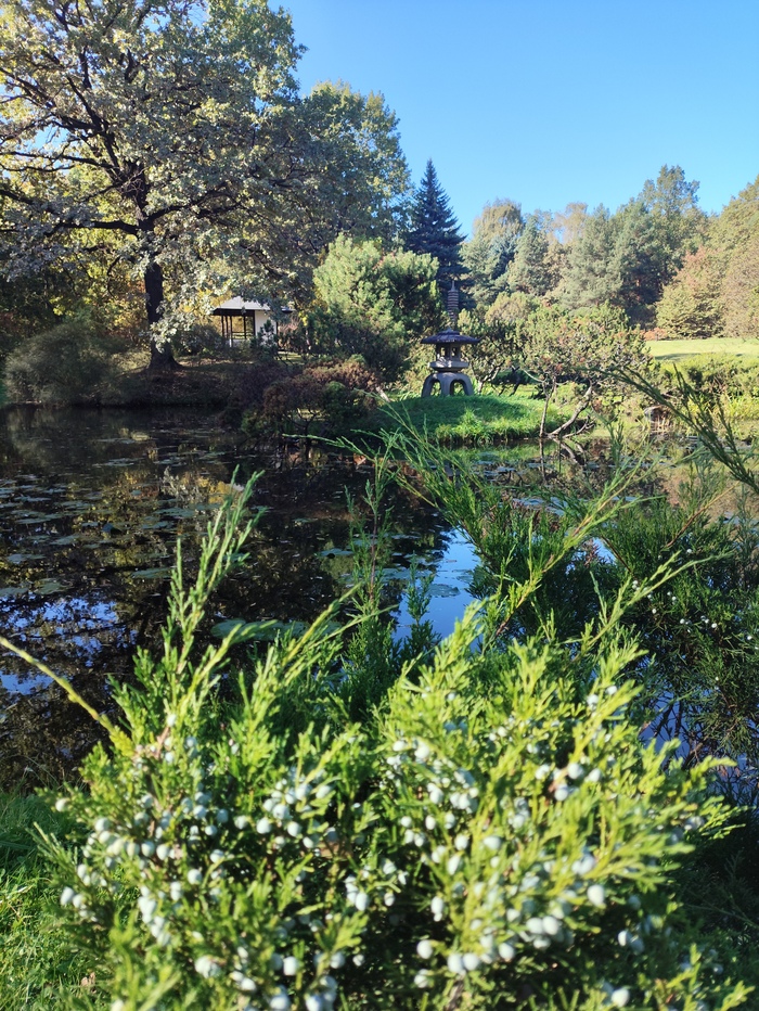 �������� ��� � ������������ ���� �� ����, ������. 