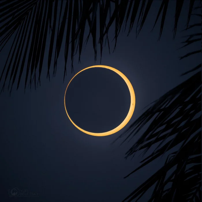 An annular solar eclipse was visible in the Pacific region yesterday - Solar eclipse, Eclipse, Informative, Easter Island, Telegram (link), Longpost