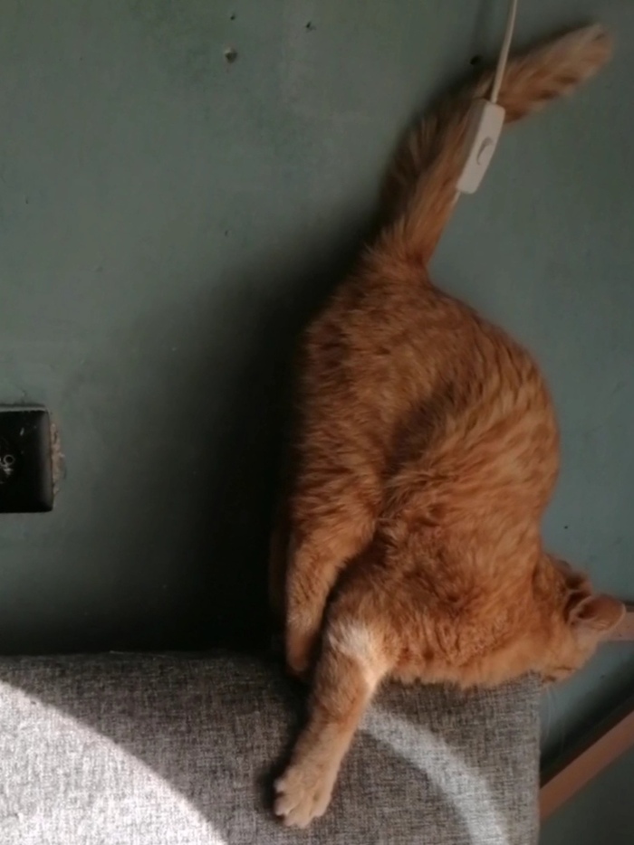 Акробатический элемент