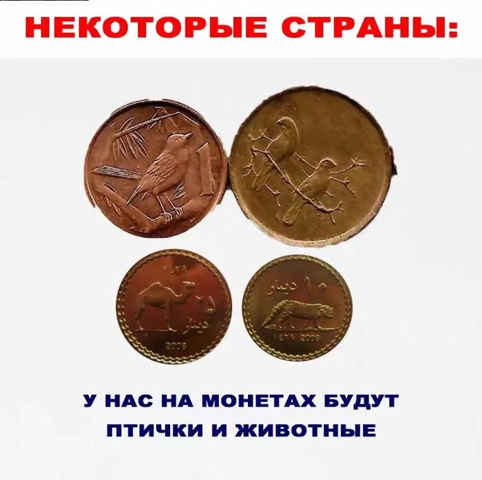  ,      , , , , , Telegram (), 