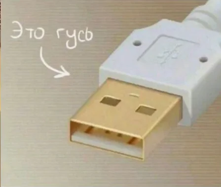 And how can I unsee this? - Гусь, The wire, USB, Humor, Memes, Picture with text, Repeat, Pareidolia