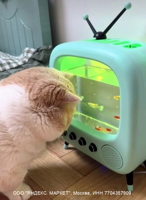 4D телевизор с эффектом присутствия