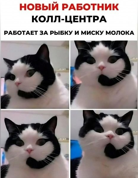 Здравствуйте я менеджер Василий