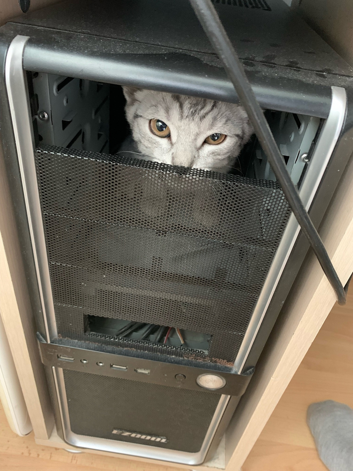 Айтишник по объявлению