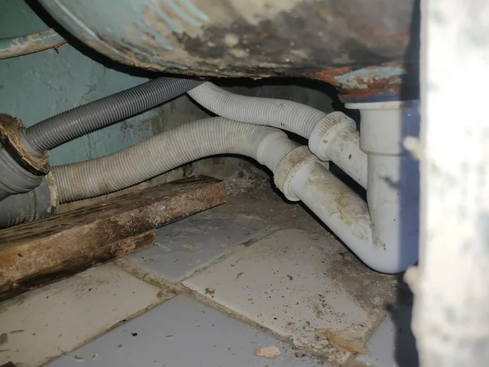 Sewer stench in the bathroom - My, Question, Ask Peekaboo, Need advice, Problem, Need help with repair, Plumbing, Sewerage, Stench, Smell, No rating