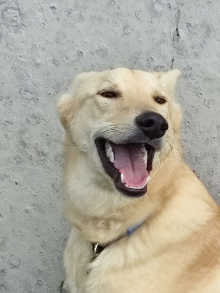  -    . ,   ,  , , , , 