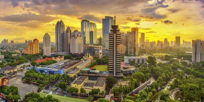 ,     ,  ,     -  .  ,   2021       .       , ,   .