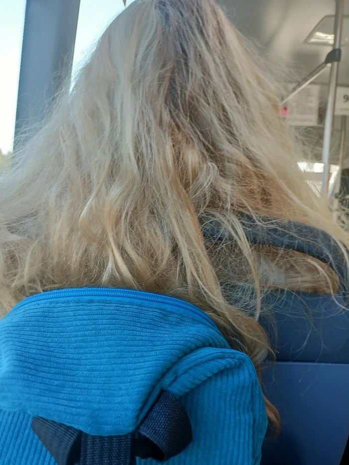 Long hair in public transport - My, Humor, Memes, Public transport, Hair, Long hair, The photo, A complaint, Disgust