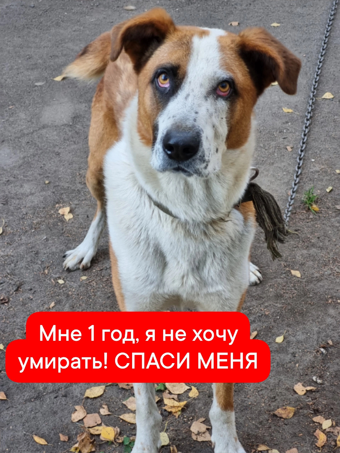   ! -  ,  , ,   , SOS, , , , ,  , , , , ,  , 