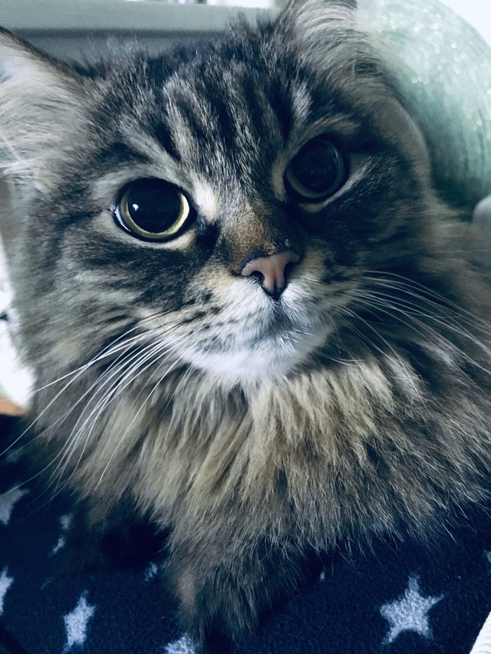 Эти глаза напротив