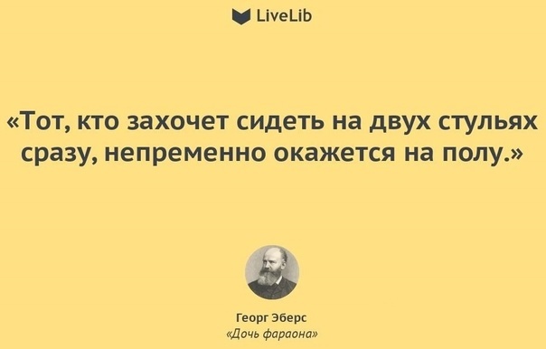 Переиграла и уничтожила! - Трехцветная кошка, Кот, Пословицы и поговорки, Кошатники, Юмор, Фотография, Домашние животные, Животные, Пушистые, Погладь кота, Толстые котики