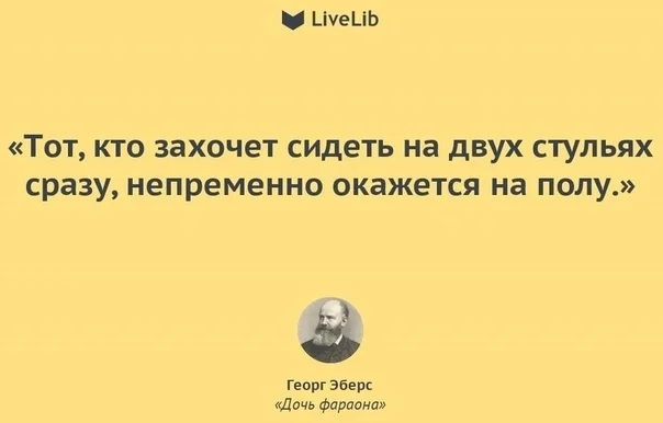 Переиграла и уничтожила! - Трехцветная кошка, Кот, Пословицы и поговорки, Кошатники, Юмор, Фотография, Домашние животные, Животные, Пушистые, Погладь кота, Толстые котики