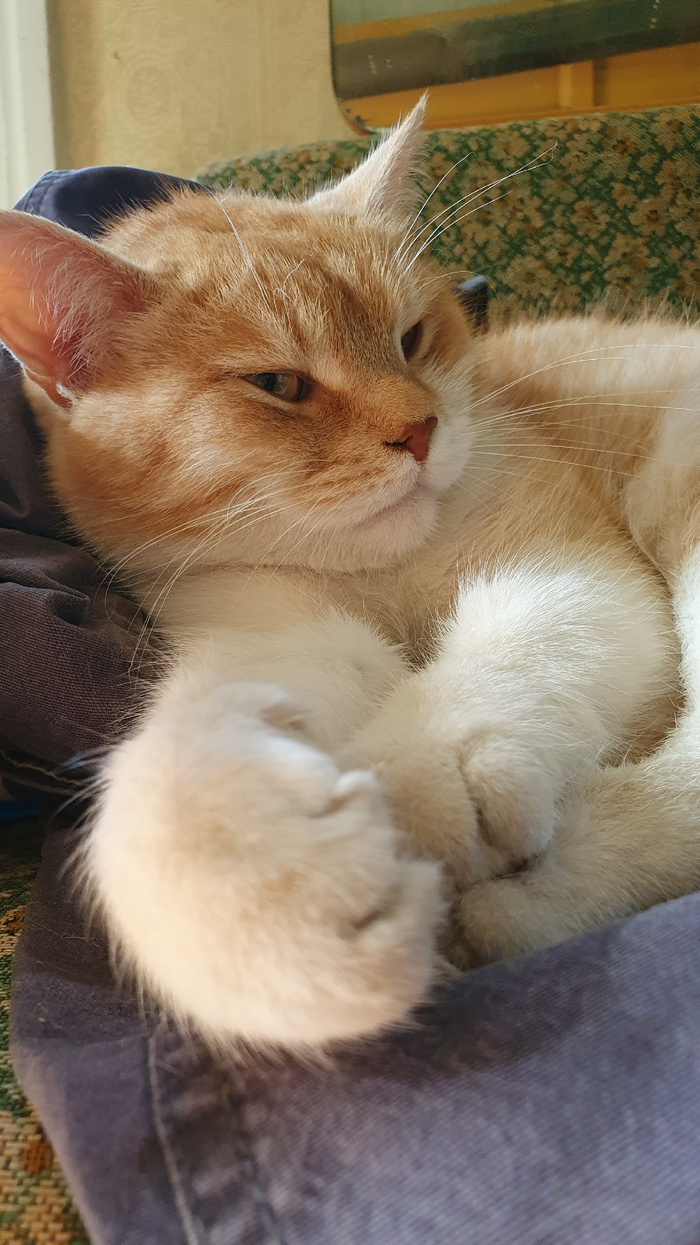 Воскресные поваляшки