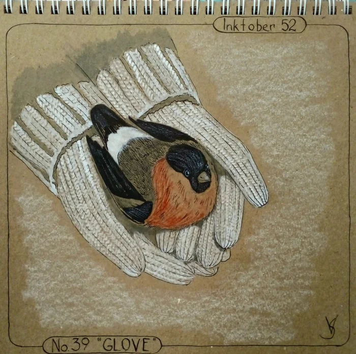 Inktober 52. Week 39 GLOVE - My, Inktober, Mascara, Drawing, Challenge, Bullfinches