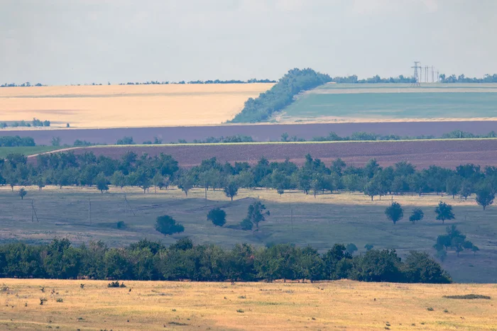 A simple summer landscape - My, Rostov region, Steppe, Landscape