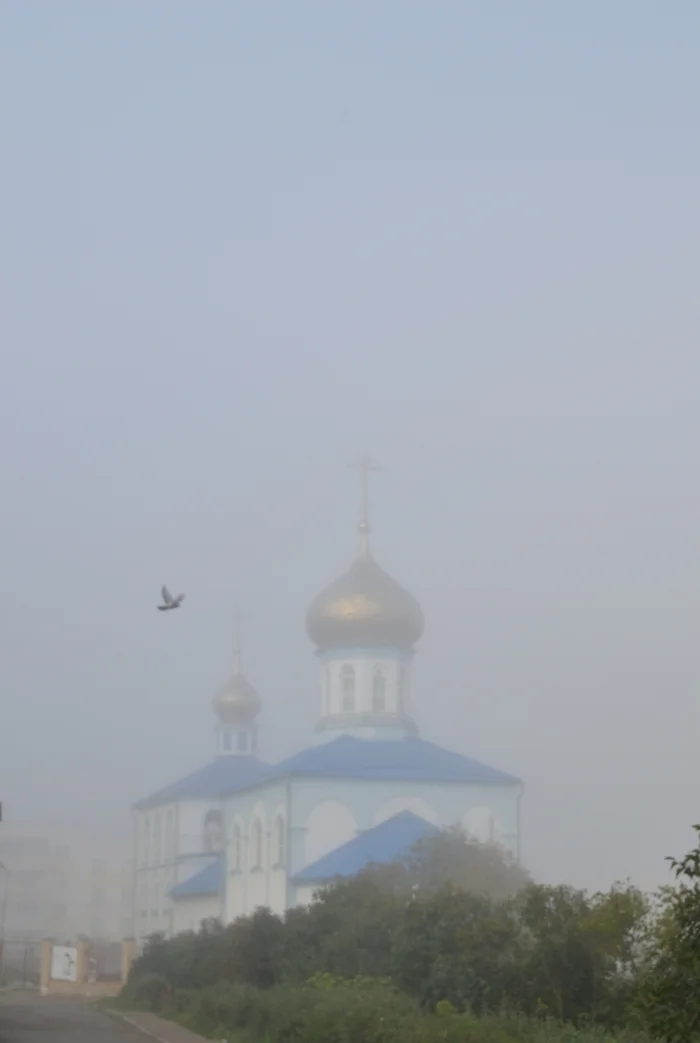 Bird - My, The photo, Temple, Fog, Birds