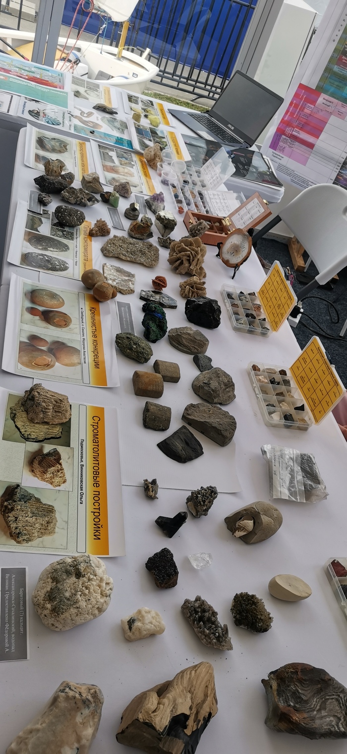 Нефть и газ Сахалина - 2024 Нефть, Нефтегазовая отрасль, Сахалин, Газпром, Выставка, Фотография, Длиннопост