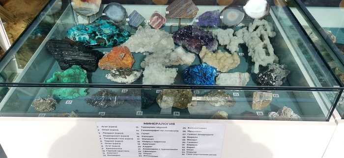 Нефть и газ Сахалина - 2024 Нефть, Нефтегазовая отрасль, Сахалин, Газпром, Выставка, Фотография, Длиннопост