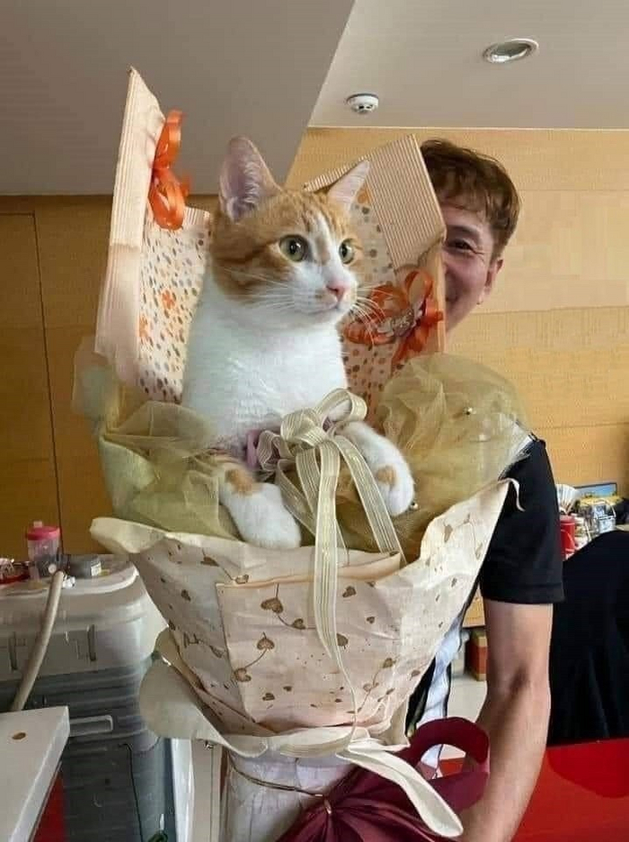 Потому что он самый красивый в комнате