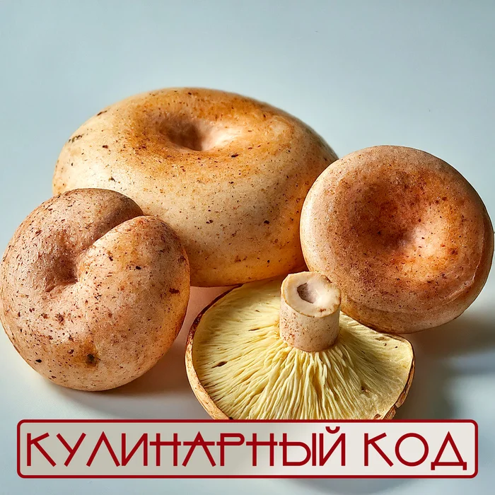 Culinary code. Mushrooms: Ryzhik - My, Cooking, Products, Nutrition, Food, Mushrooms, Ginger mushrooms, Longpost