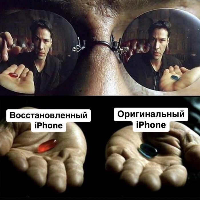     iPhone 13.      .     ,  , iPhone, , -, iPhone 13,  , ,  ,  , 