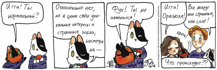 Koteikiny News from 04.10.2024 - My, cat, Koteikin news (comic), Comics, Translation