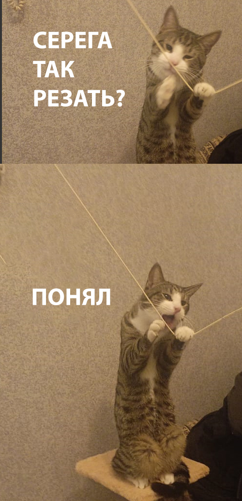      , , Gpon