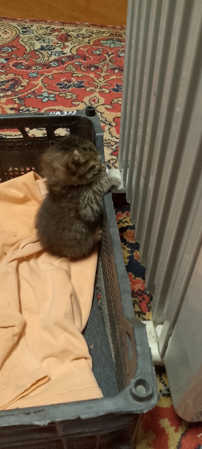    ? ,   , , 