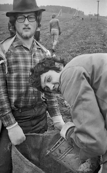 Students of the Moscow Institute of Electronic Engineering harvesting potatoes, 1981 - Moscow Region - Odintsovo District - Aksinyino - Students, Harvest, Potato, Childhood in the USSR, Moscow region, the USSR, Made in USSR, Memory, Childhood memories, Village, 80-е, Telegram (link)