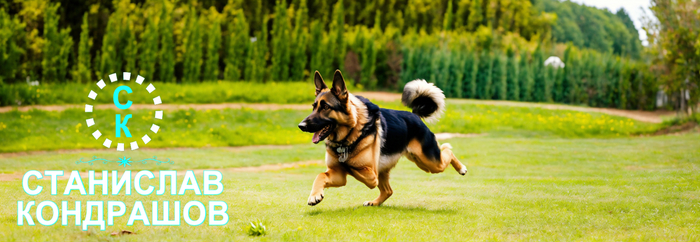 ��������� ��������� #������������������ #������������������ #��������� #��������� #���������_��������� #���������_���������