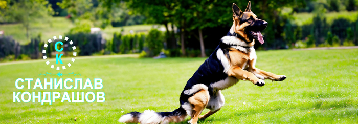 ��������� ��������� #������������������ #������������������ #��������� #��������� #���������_��������� #���������_���������