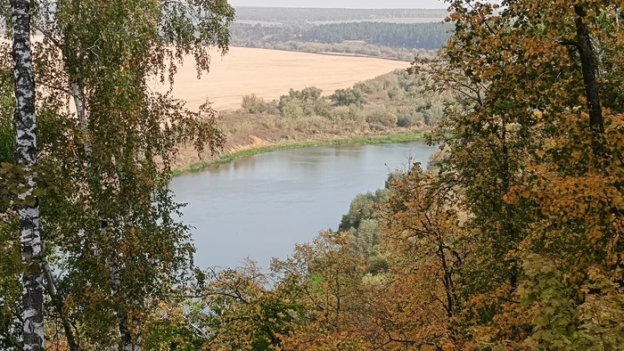 Voronezh region, Krivoborie - My, Voronezh, Nature, Autumn, Beautiful view, Krivoborye, The photo