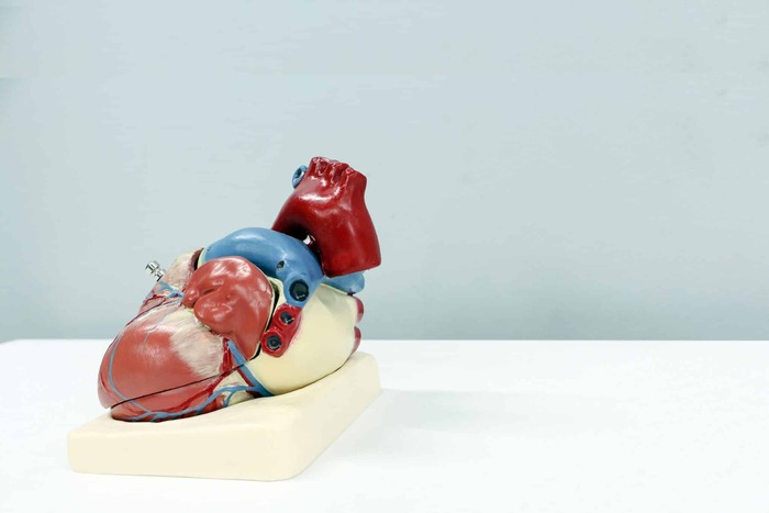      3D- -   3D , , , , 