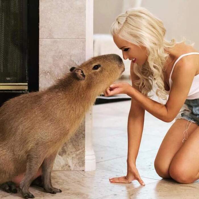 So this is who he traded me for... An otter!!! - Humor, Images, The photo, Girls, Figure, Blonde, Milota, Capybara, Smile, Sight