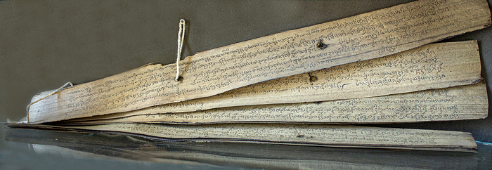 Рукописи на пальмовых листьях из Бирмы, привезенные П.А. Барановым, 1958г. Из экспозиции Ботанического музея БИН РАН.