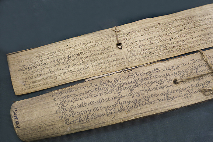 Рукописи на пальмовых листьях из Китая, привезенные В.И. Полянским, 1957 г.