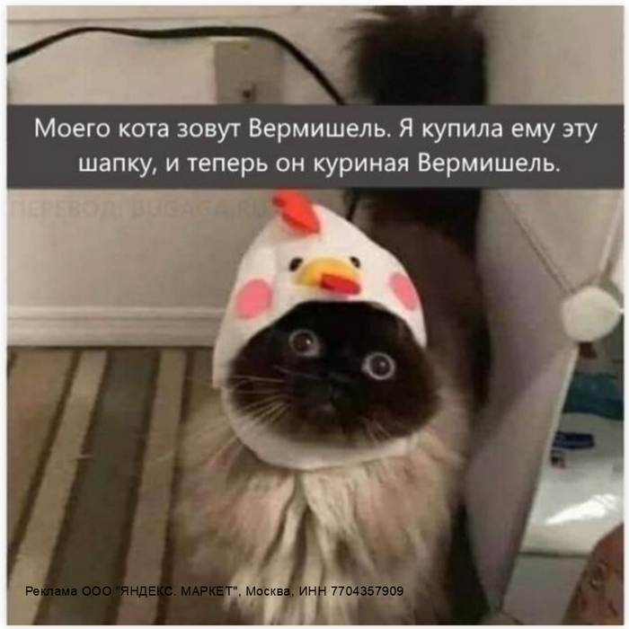 Мне кажется он очень рад