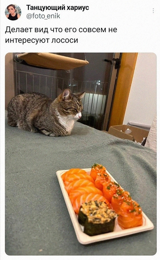 Мужественно держится!