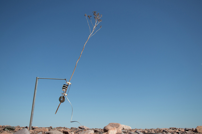Датчик ветра, размещенный на улице