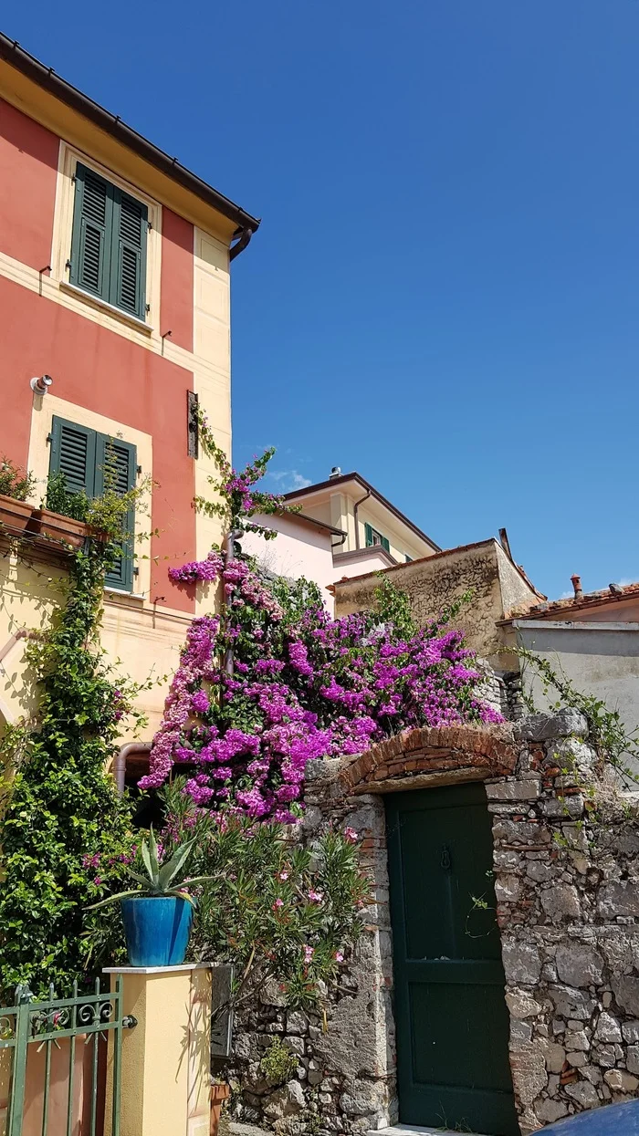 Details of the streets of the town of Montemarcello, Italy - My, The photo, Italy, Town, City walk, Longpost