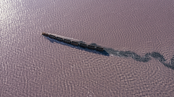 �� �� � ������� �������