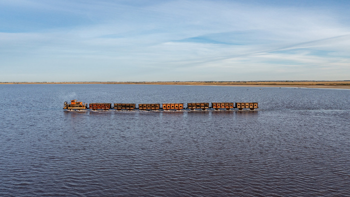 ���� �����