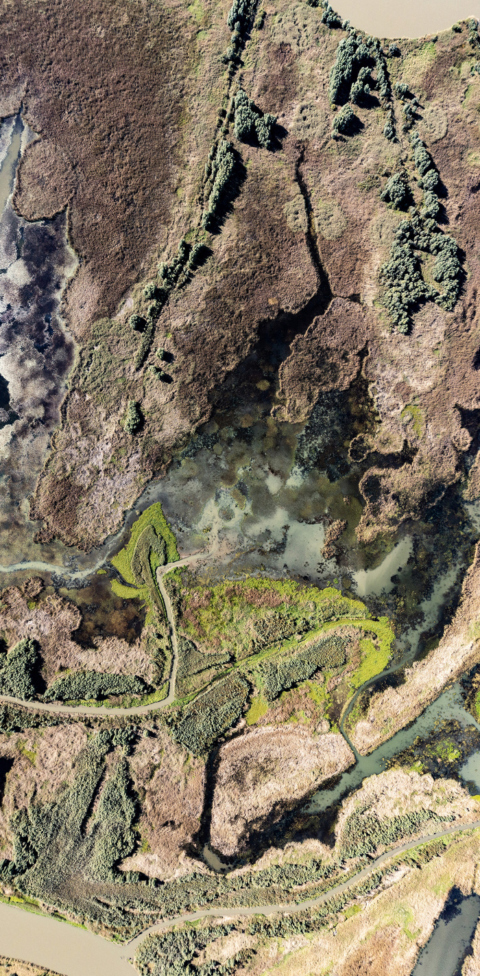 � ��� ���� ����� �� ���� � �����, �� ���� ����� (�� ��� �������) ����������. ���� ����� ��������� � ������ ������� ���������� ����