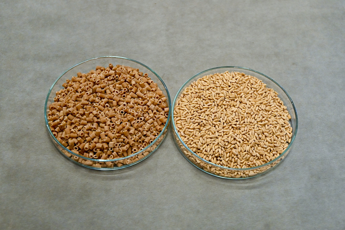 Крупа и макароны из маниока. Коллекция Ботанического музея БИН РАН.