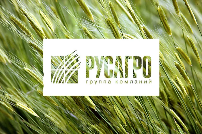 $AGRO — Русагро, внушительных перспектив пока не наблюдается - Инвестиции, Биржа, Инвестиции в акции, Фондовый рынок, Трейдинг, Дивиденды, Русагро