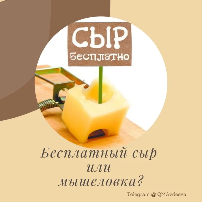 Free cheese or a mousetrap? - Entrepreneurship, Business, Startup, Small business, Clients, VKontakte (link), Longpost