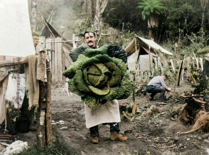 Подборка фотографий из прошлого, которые заставляют удивиться. 20 раскрашенных фотографий из XIX-ХХ века. Часть XI Историческое фото, Старое фото, Фотография, Колоризация, 19 век, 20 век, Длиннопост Подборка фотографий из прошлого, которые заставляют удивиться. 20 раскрашенных фотографий из XIX-ХХ века. Часть XI Историческое фото, Старое фото, Фотография, Колоризация, 19 век, 20 век, Длиннопост